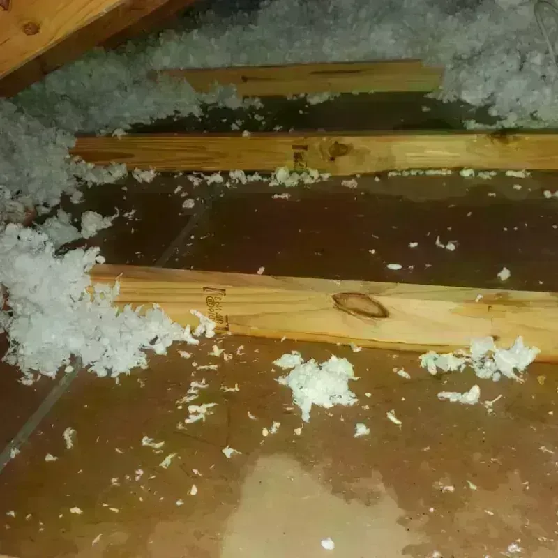 Attic Water Damage in Buffalo, WV