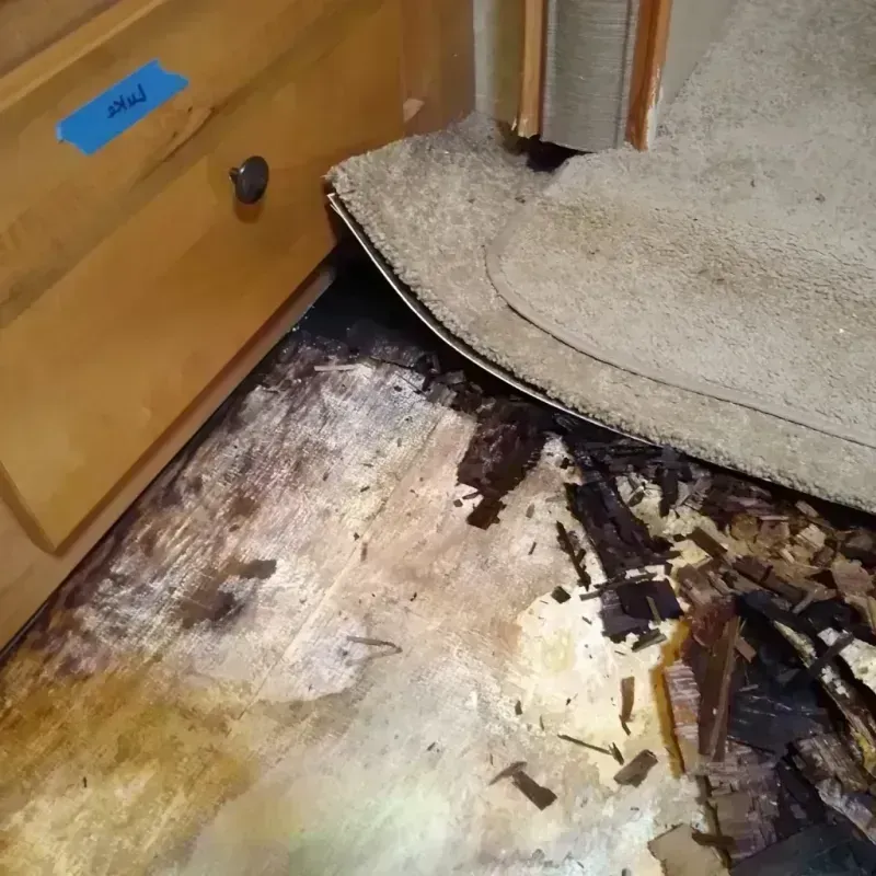 Wood Floor Water Damage in Buffalo, WV